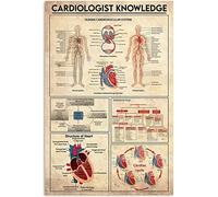 Cardiologist Knowledge Hanging Metal Sign Vintage Human Cardiovascular System Retro Tin Poster Home Bedroom Living Room Wall Decor PlaqueTin Sign 8X12 Inches