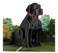 Cardology - Black Labrador Pop Up Card | 3D Dog Birthday Card, Fathers Day Cards, Mothers Day Cards, Dog Lover Gifts | Handmade
