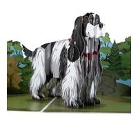 Cardology - Cocker Spaniel Pop Up Card | 3D Dog Birthday Card, Fathers Day Cards, Mother's Day Cards, Gotcha Day Cards | Handmade