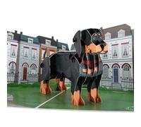 Cardology - Dachshund Pop Up Card | 3D Sausage Dog Birthday Card, Fathers Day Cards, Mother's Day Cards, Gotcha Day Cards | Handmade