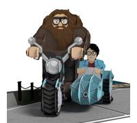 Cardology - Harry Potter Hagrid Birthday Pop Up Card | Harry Potter Hagrid merchandise, 3D Hagrid Cards and Gifts | Officially Licensed