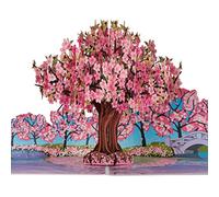 Cardology - Pink Cherry Blossom Pop Up Card | Mothers Day Card, Birthday Cards For Her, Valentines Day Cards, Get Well Soon Cards | Handmade