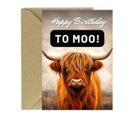 Cards Brown Solo Highland Cow Funny Greeting For Birthdays With Envelope A5 Size