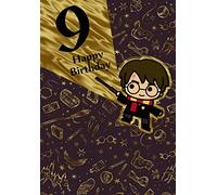 Cards Hallmark Harry Potter 9th Birthday 9 Happy Birthday