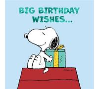 Cards Hallmark Peanuts Snoopy Birthday Big Birthday Wishes...