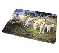 Cardtoons Publications The Lamb Gang Tablemat