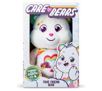 Care Bears Plush Toys - Flower Power, Good Wishes, Destiny & More