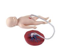 Care Infant Simulator, Baby Manikin with Umbilical Cord and Placenta, Baby Teaching Model for Obstetrics and Gynecology Teaching Tool