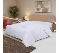 Caregchrisj Waterproof Duvet/Quilt Protector Hypo Allergenic Anti Dust Mite Zip Closure (DOUBLE) 200 x 200cm