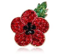 CAREOR Red Poppy Flower Brooch for Women - Remembrance Day Awareness Lapel Scarf Jacket Pin Lest We Forget Badge - Symbolic Memorial Gift for Women Men