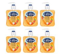 Carex Editions Seville Escape Hand Wash Pack of 6, Antibacterial Hand Soap with Editions Zesty Refreshing Fragrance, Soap that Cleans, Cares and Protects, 6 x 250ml