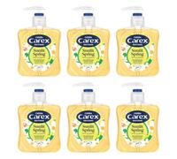 Carex Editions Sunlit Spring Hand Wash Pack of 6, Antibacterial Hand Soap with Editions Fresh Floral Fragrance, Soap that Cleans, Cares and Protects, 6 x 250ml