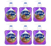 Carex Gruffalo Deep Dark Forest Fruits Antibacterial Hand Wash 6x250ml