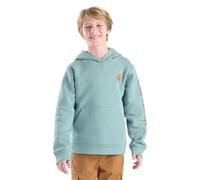 Carhartt Boys' Hooded Sweatshirt, Patina finish, 10-12 Jahre
