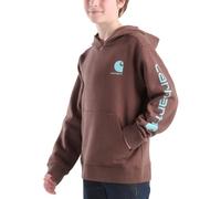 Carhartt Boy's Long-Sleeve Graphic Sweatshirt Hooded, Chestnut, 10-12 Jahre