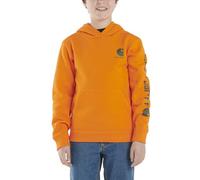 Carhartt Boys' Long Sleeve Hooded Sweatshirt, Exotic Orange, Medium (10/12)