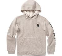 CARHARTT Boys' Long Sleeve Hooded Sweatshirt, Grey Heather, L