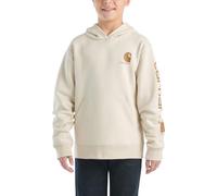 Carhartt Boys' Long Sleeve Hooded Sweatshirt Hoodie, Turtle dove, 10-12 Jahre