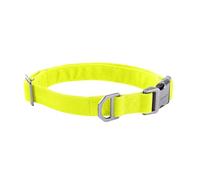 Carhartt Field Dog Collar, Fully Adjustable, Durable 600-Denier Fabric W/Reflective Wordmark for Visibility, Brite Lime, Medium