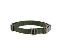 Carhartt Field Dog Collar, Fully Adjustable, Durable 600-Denier Fabric W/Reflective Wordmark for Visibility, Oak Leaf, Large