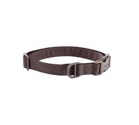 Carhartt Field Dog Collar, Fully Adjustable, Durable 600-Denier Fabric W/Reflective Wordmark for Visibility, Deep Wine, Large