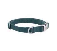 Carhartt Field Dog Collar, Fully Adjustable, Durable 600-Denier Fabric W/Reflective Wordmark for Visibility, Greenstone, Medium