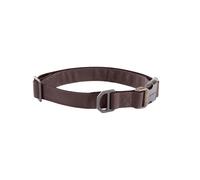 Carhartt Field Dog Collar, Fully Adjustable, Durable 600-Denier Fabric W/Reflective Wordmark for Visibility, Deep Wine, Medium
