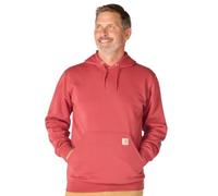 Carhartt Men's Loose Fit Midweight Logo Sleeve Graphic Sweatshirt, Amber Terrain, 5XL