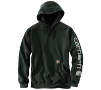 Carhartt Men's Midweight Signature Sleeve Logo Hooded Sweatshirt, Black/Big Sky, 5XL