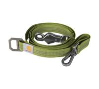 Carhartt Pet Durable Nylon Webbing Leashes for Dogs Reflective Stitching for Visibility Light Moss (Nylon Webbing) Large