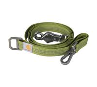 Carhartt Pet Durable Nylon Webbing Leashes for Dogs, Reflective Stitching for Visibility, Light Moss (Nylon Webbing), Large
