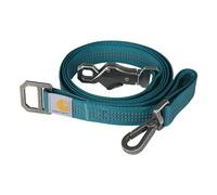 Carhartt Pet Durable Nylon Webbing Leashes for Dogs, Reflective Stitching for Visibility, Shaded Spruce, Large