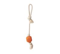 Carhartt Pet Training Tools, Rugged Dog Tool for Tug, Fetch and Play, Rubber Ball Dog Rope Pull (Blaze Orange)