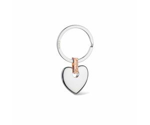 Cariad® Keyring Standard