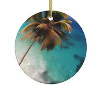 Caribbean Islands Christmas Ornaments 2.9-inch Ceramic Hanging Ornaments Suitable for Decorating windowsills fireplaces and bedrooms
