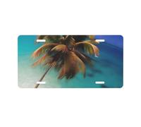 Caribbean Islands Front license plate, 0.6 mm thick, 30 x 15 cm, aluminum.