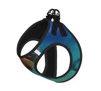 Caribbean Islands Print Soft Pet Harness and Leash Set, Adjustable Mesh Puppy Vest Harness for Small Medium Large Dogs and Cats