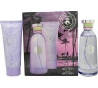 Caribbean Joe Island Splash Eau De Parfum 100ml Gift Set 100ml & 100ml Body Lotion