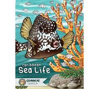 Caribbean Sea Life: Coloring Book