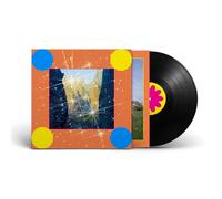 CARIBOU - HONEY [VINYL]
