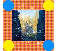 CARIBOU - HONEY [VINYL]