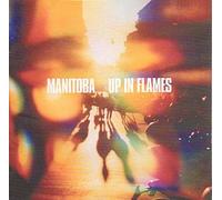 Caribou - Up in Flames [VINYL]