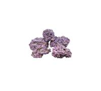 Caribsea Liferock 10lb Box Marine Reef Aquarium Live Rock Replacement Salt Water