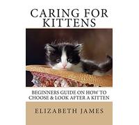 Caring for Kittens: Beginners Guide on How to look after a Kitten