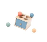 CARISSETT Geometric Color Shape Classification Educational Wooden Stick for Kids Shape Recognition Learning Activity Geometric Shape Box