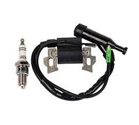 Carkio Carkio Compatible with Ignition Coil with Spark Plug Compatible with Gx110 Gx120 Gx140 Gx160 Gx200 5.5hp 6.5hp Engine Generator Lawn Mower Motor