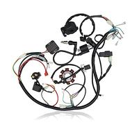 Carkio Full Engine Wiring Harness Wiring Loom CDI Coil Compatible with ATV 150CC 200CC 250CC Quad Bike Buggy Go Kart Pit Dirt Bikes Motorcycle Accessories