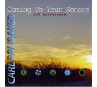 Carl Brubaker - Coming to Your Senses