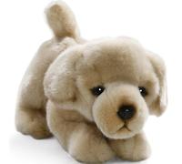 Carl Dick Golden Retriever Dog, Soft Toy, Cuddly Toy