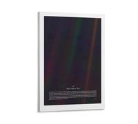 Carl Sagan Astronomy Motivational Posters The Pale Blue Dot Wall Decor For Bedroom Canvas Painting Bathroom Art Wall Decor 12x18inch(30x45cm)